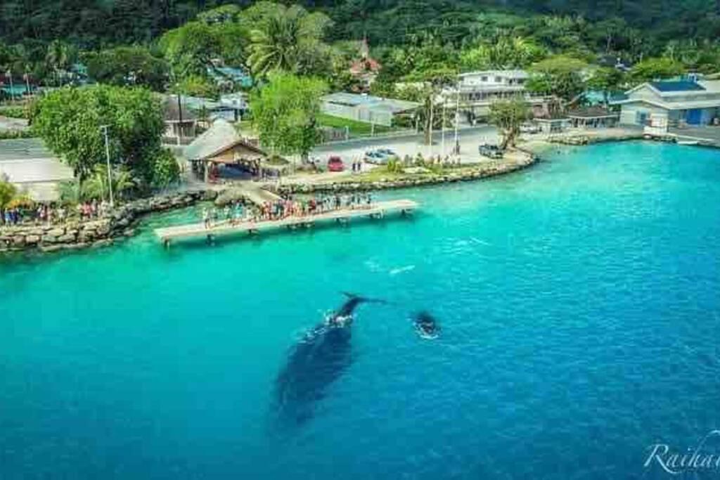 Meri Lodge Huahine Fare Esterno foto